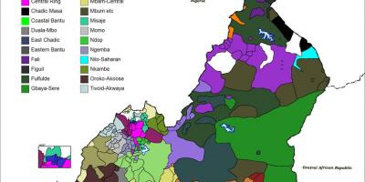 Térkép Kamerun nyelv